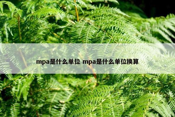 mpa是什么单位 mpa是什么单位换算