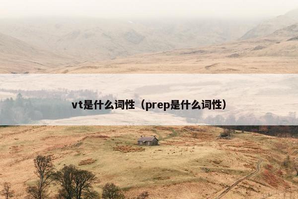 vt是什么词性（prep是什么词性）