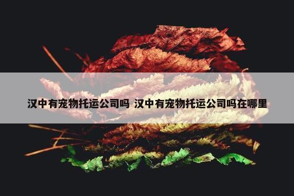 汉中有宠物托运公司吗 汉中有宠物托运公司吗在哪里