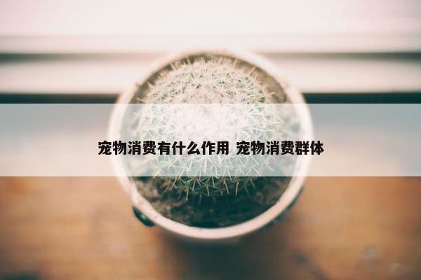 宠物消费有什么作用 宠物消费群体