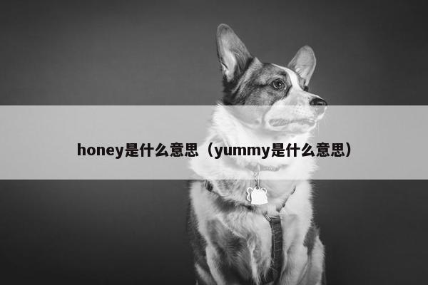 honey是什么意思（yummy是什么意思）