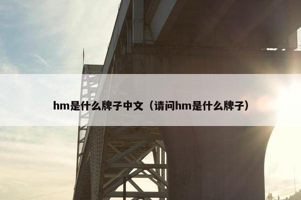 hm是什么牌子中文（请问hm是什么牌子）