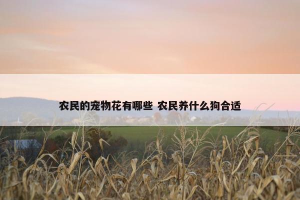 农民的宠物花有哪些 农民养什么狗合适