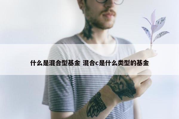 什么是混合型基金 混合c是什么类型的基金