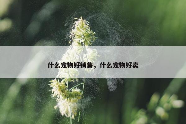 什么宠物好销售，什么宠物好卖