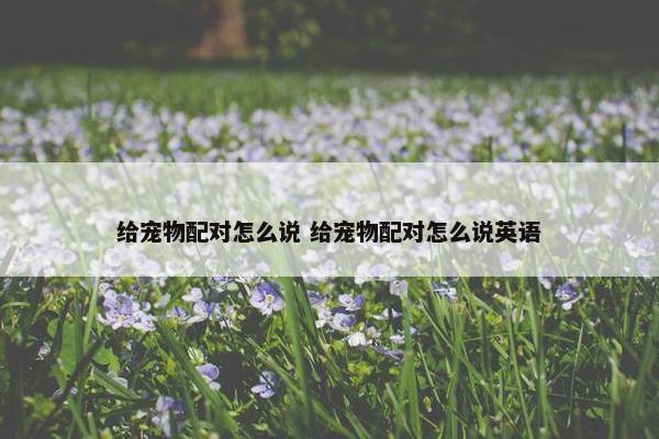 给宠物配对怎么说 给宠物配对怎么说英语