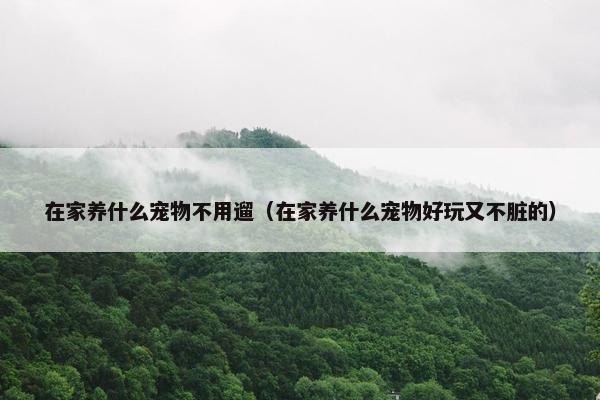 在家养什么宠物不用遛（在家养什么宠物好玩又不脏的）