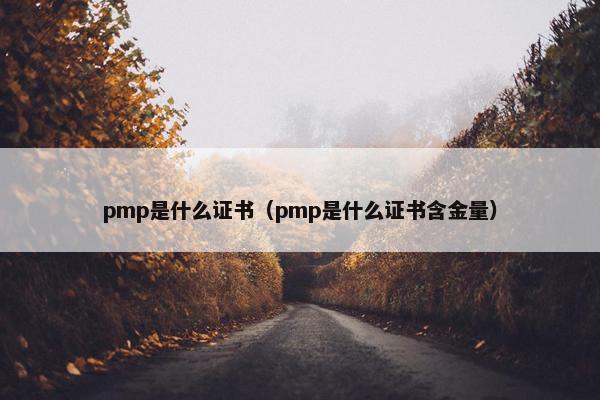 pmp是什么证书（pmp是什么证书含金量）