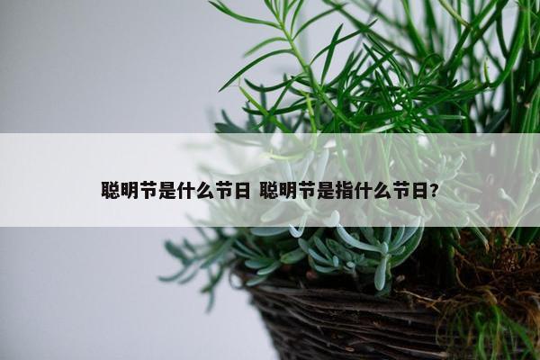 聪明节是什么节日 聪明节是指什么节日?