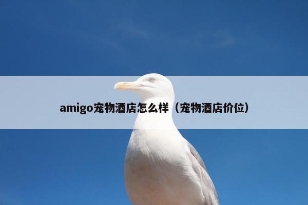 amigo宠物酒店怎么样（宠物酒店价位）