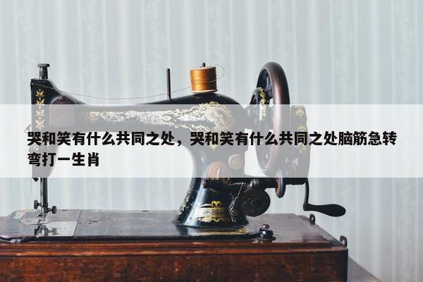 哭和笑有什么共同之处，哭和笑有什么共同之处脑筋急转弯打一生肖