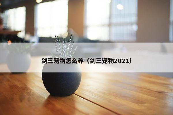 剑三宠物怎么养（剑三宠物2021）