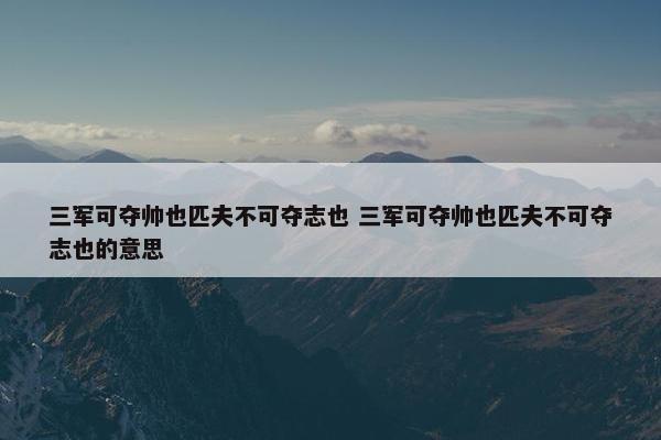 三军可夺帅也匹夫不可夺志也 三军可夺帅也匹夫不可夺志也的意思