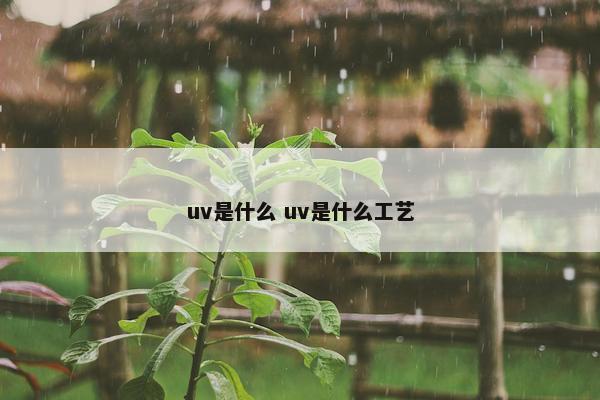 uv是什么 uv是什么工艺