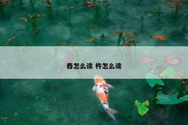 舂怎么读 杵怎么读