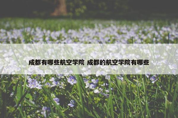 成都有哪些航空学院 成都的航空学院有哪些