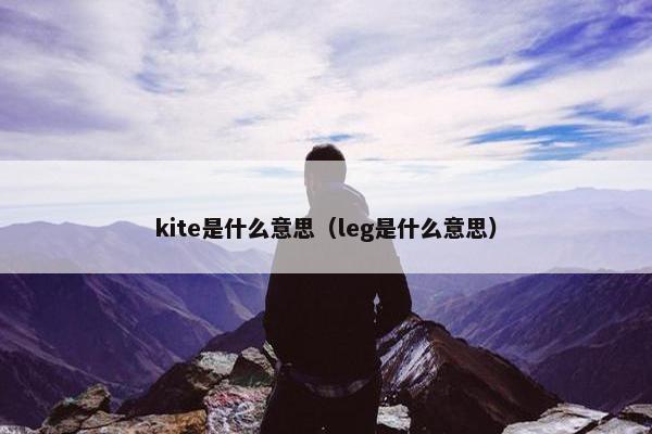 kite是什么意思（leg是什么意思）