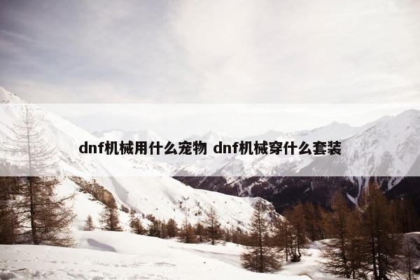 dnf机械用什么宠物 dnf机械穿什么套装