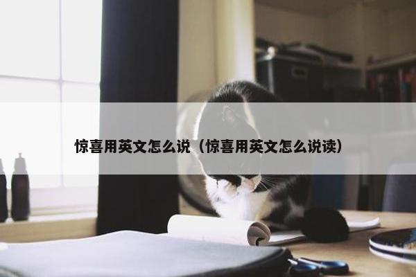 惊喜用英文怎么说（惊喜用英文怎么说读）