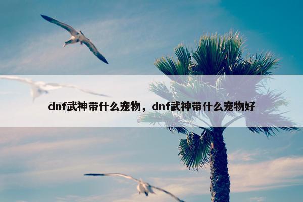 dnf武神带什么宠物，dnf武神带什么宠物好