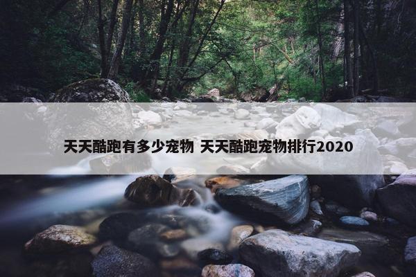 天天酷跑有多少宠物 天天酷跑宠物排行2020