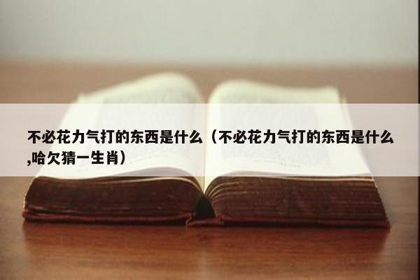 不必花力气打的东西是什么（不必花力气打的东西是什么,哈欠猜一生肖）