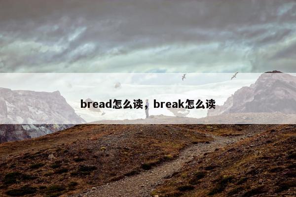 bread怎么读，break怎么读