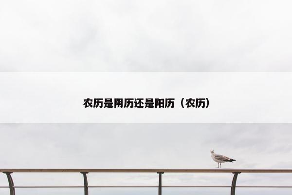 农历是阴历还是阳历（农历）