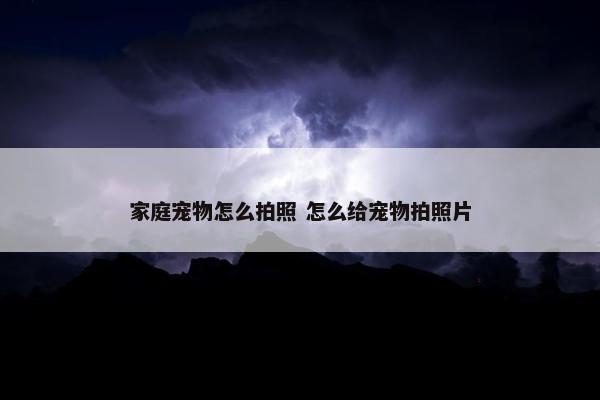 家庭宠物怎么拍照 怎么给宠物拍照片