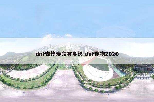 dnf宠物寿命有多长 dnf宠物2020