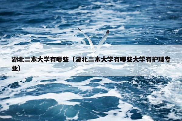 湖北二本大学有哪些（湖北二本大学有哪些大学有护理专业）