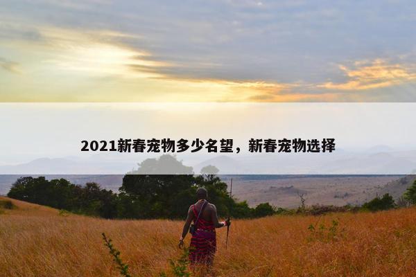 2021新春宠物多少名望，新春宠物选择