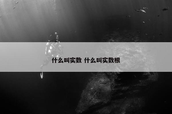 什么叫实数 什么叫实数根