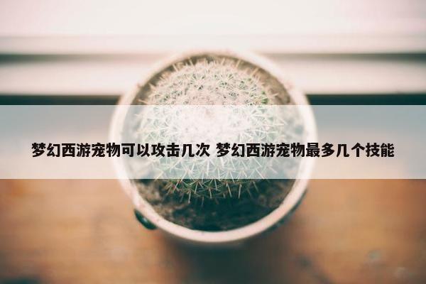 梦幻西游宠物可以攻击几次 梦幻西游宠物最多几个技能