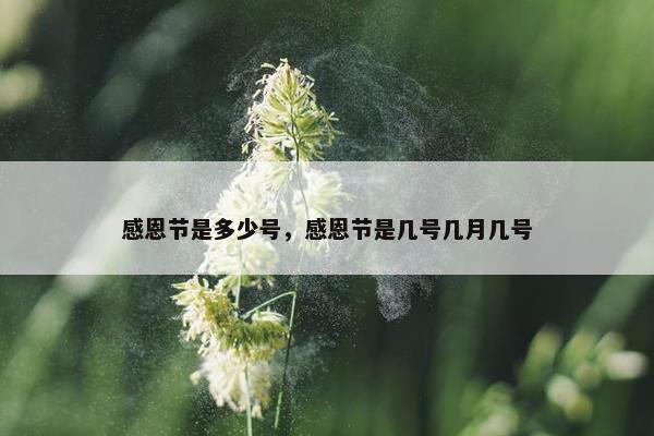 感恩节是多少号，感恩节是几号几月几号