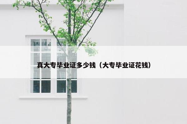 真大专毕业证多少钱（大专毕业证花钱）