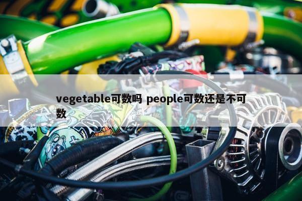 vegetable可数吗 people可数还是不可数