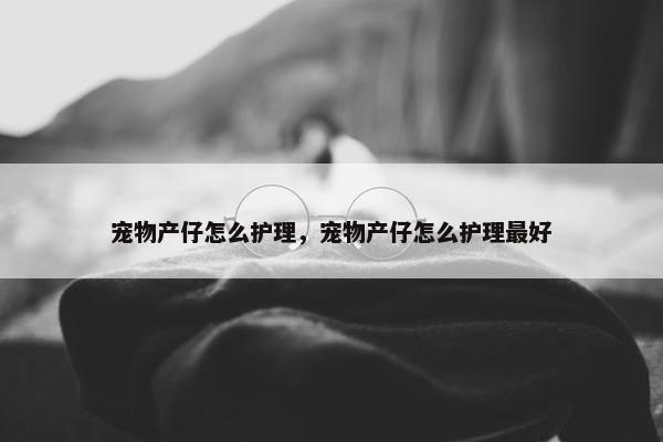 宠物产仔怎么护理，宠物产仔怎么护理最好