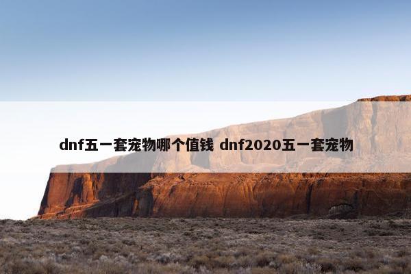 dnf五一套宠物哪个值钱 dnf2020五一套宠物