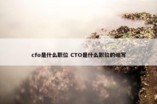 cfo是什么职位 CTO是什么职位的缩写