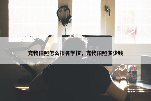 宠物拍照怎么报名学校，宠物拍照多少钱