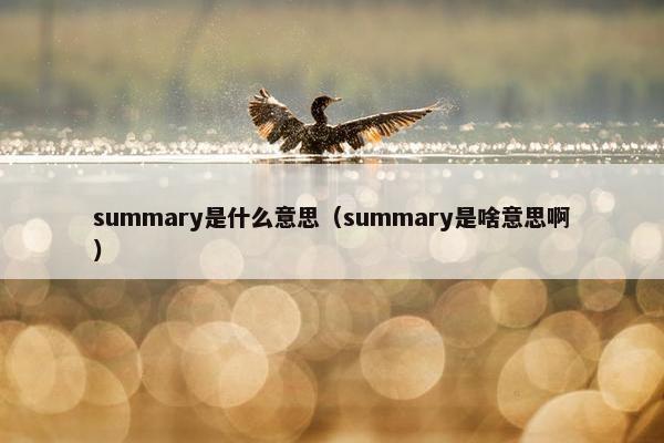 summary是什么意思（summary是啥意思啊）