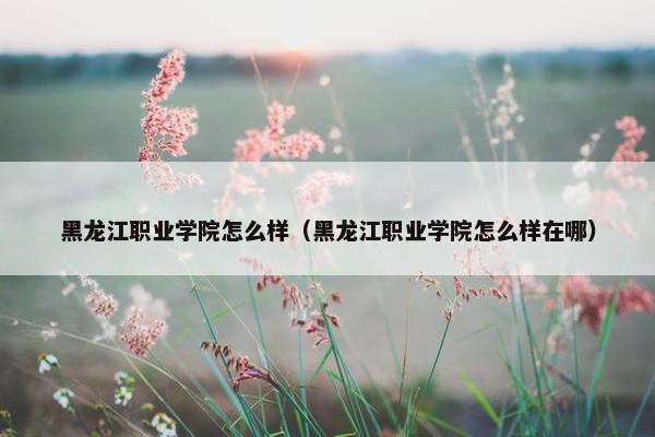 黑龙江职业学院怎么样（黑龙江职业学院怎么样在哪）