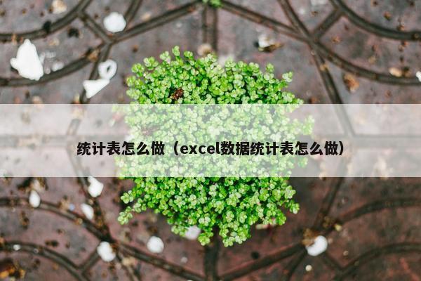 统计表怎么做（excel数据统计表怎么做）