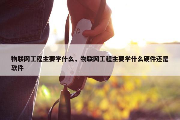 物联网工程主要学什么，物联网工程主要学什么硬件还是软件