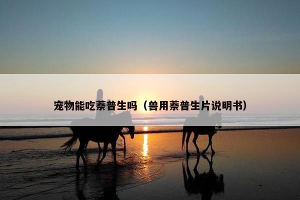 宠物能吃萘普生吗（兽用萘普生片说明书）