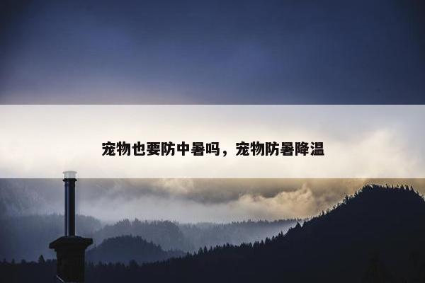 宠物也要防中暑吗，宠物防暑降温