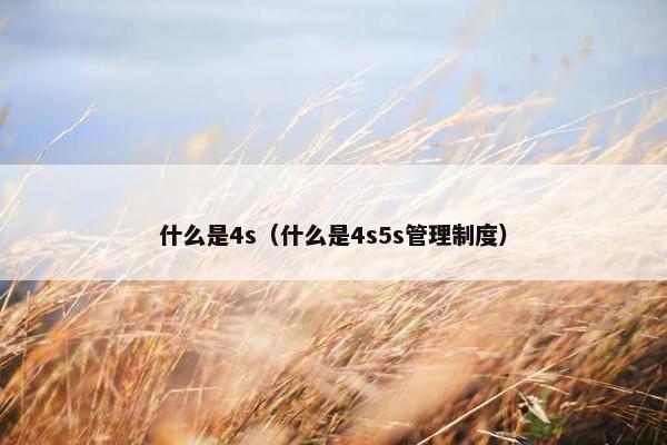 什么是4s（什么是4s5s管理制度）