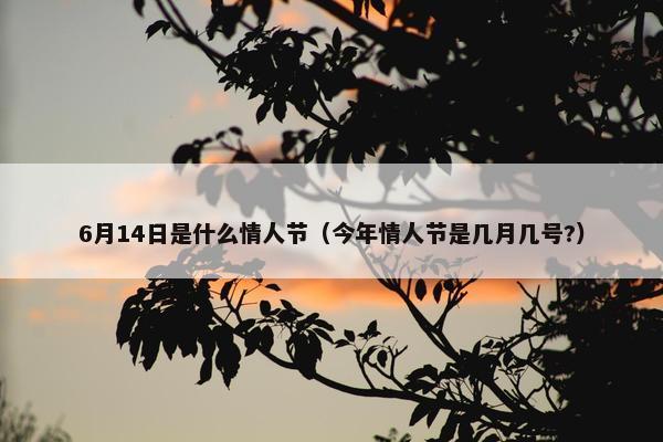 6月14日是什么情人节（今年情人节是几月几号?）