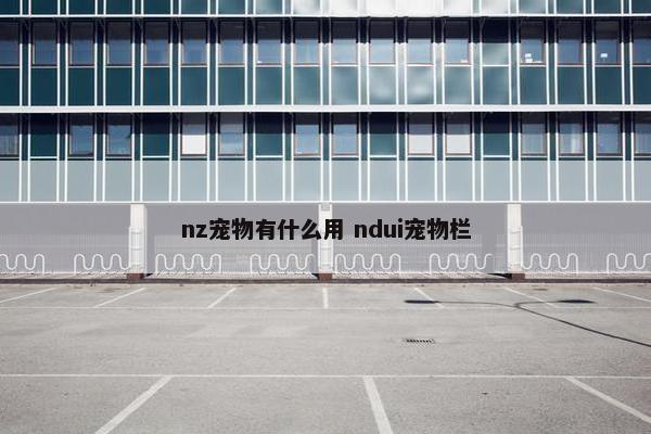 nz宠物有什么用 ndui宠物栏